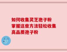 如何收集灵芝孢子粉 掌握这些方法轻松收集高品质孢子粉