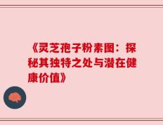《灵芝孢子粉素图：探秘其独特之处与潜在健康价值》
