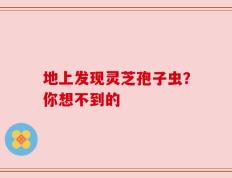地上发现灵芝孢子虫？你想不到的