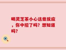 喝灵芝茶小心这些反应，你中招了吗？想知道吗？