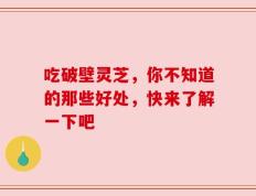 吃破壁灵芝，你不知道的那些好处，快来了解一下吧