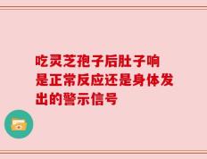 吃灵芝孢子后肚子响 是正常反应还是身体发出的警示信号