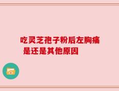 吃灵芝孢子粉后左胸痛 是还是其他原因