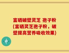 富硒破壁灵芝 孢子粉(富硒灵芝孢子粉，破壁提高营养吸收效果)