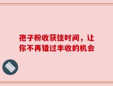 孢子粉收获佳时间，让你不再错过丰收的机会