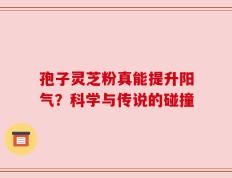 孢子灵芝粉真能提升阳气？科学与传说的碰撞