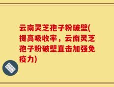 云南灵芝孢子粉破壁(提高吸收率，云南灵芝孢子粉破壁直击加强免疫力)