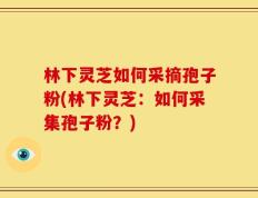林下灵芝如何采摘孢子粉(林下灵芝：如何采集孢子粉？)
