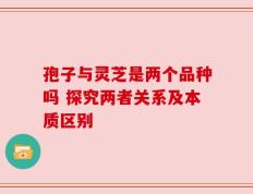 孢子与灵芝是两个品种吗 探究两者关系及本质区别