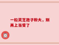 一粒灵芝孢子粉大，别再上当受了