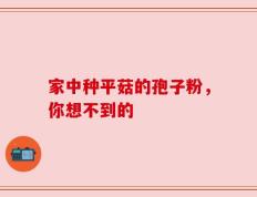 家中种平菇的孢子粉，你想不到的