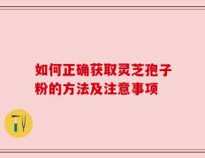 如何正确获取灵芝孢子粉的方法及注意事项