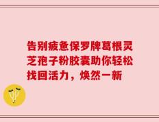 告别疲惫保罗牌葛根灵芝孢子粉胶囊助你轻松找回活力，焕然一新