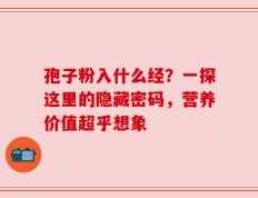 孢子粉入什么经？一探这里的隐藏密码，营养价值超乎想象