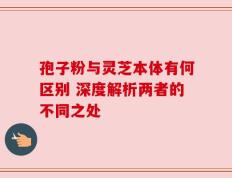 孢子粉与灵芝本体有何区别 深度解析两者的不同之处