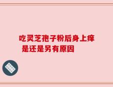 吃灵芝孢子粉后身上痒 是还是另有原因