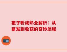 孢子粉成熟全解析：从萌发到收获的奇妙旅程