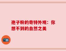 孢子粉的奇特外观：你想不到的自然之美