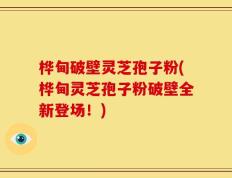 桦甸破壁灵芝孢子粉(桦甸灵芝孢子粉破壁全新登场！)