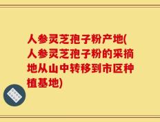 人参灵芝孢子粉产地(人参灵芝孢子粉的采摘地从山中转移到市区种植基地)