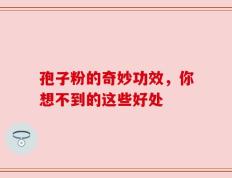 孢子粉的奇妙功效，你想不到的这些好处