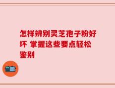 怎样辨别灵芝孢子粉好坏 掌握这些要点轻松鉴别