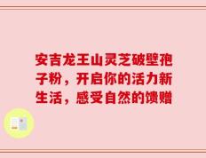 安吉龙王山灵芝破壁孢子粉，开启你的活力新生活，感受自然的馈赠