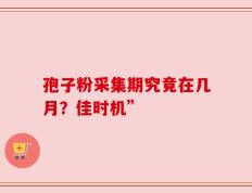 孢子粉采集期究竟在几月？佳时机”