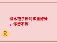 椴木孢子粉的多重好处，你想不到