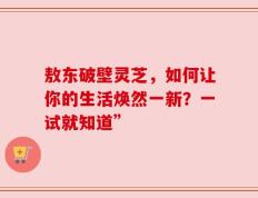 敖东破壁灵芝，如何让你的生活焕然一新？一试就知道”