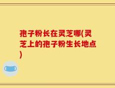 孢子粉长在灵芝哪(灵芝上的孢子粉生长地点)