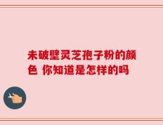 未破壁灵芝孢子粉的颜色 你知道是怎样的吗