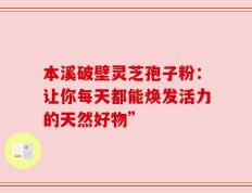 本溪破壁灵芝孢子粉：让你每天都能焕发活力的天然好物”