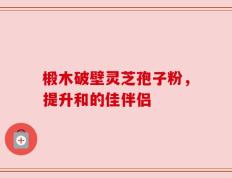 椴木破壁灵芝孢子粉，提升和的佳伴侣