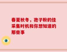 春夏秋冬，孢子粉的佳采集时机和你想知道的那些事