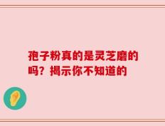 孢子粉真的是灵芝磨的吗？揭示你不知道的