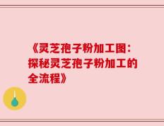 《灵芝孢子粉加工图：探秘灵芝孢子粉加工的全流程》