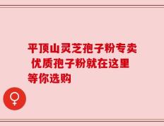 平顶山灵芝孢子粉专卖 优质孢子粉就在这里等你选购