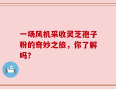 一场风机采收灵芝孢子粉的奇妙之旅，你了解吗？