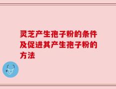 灵芝产生孢子粉的条件及促进其产生孢子粉的方法
