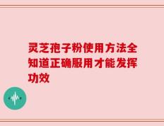 灵芝孢子粉使用方法全知道正确服用才能发挥功效