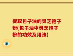 提取包子油的灵芝孢子粉(包子油中灵芝孢子粉的功效及用法)