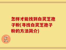 怎样才能找到白灵芝孢子粉(寻找白灵芝孢子粉的方法简介)