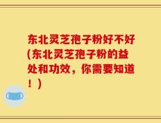 东北灵芝孢子粉好不好(东北灵芝孢子粉的益处和功效，你需要知道！)