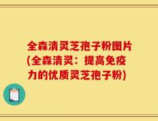 全森清灵芝孢子粉图片(全森清灵：提高免疫力的优质灵芝孢子粉)