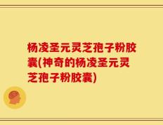 杨凌圣元灵芝孢子粉胶囊(神奇的杨凌圣元灵芝孢子粉胶囊)