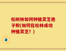 松树林如何种植灵芝孢子粉(如何在松林成功种植灵芝？)