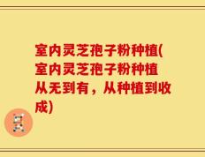 室内灵芝孢子粉种植(室内灵芝孢子粉种植 从无到有，从种植到收成)