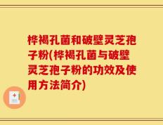 桦褐孔菌和破壁灵芝孢子粉(桦褐孔菌与破壁灵芝孢子粉的功效及使用方法简介)