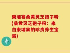 柬埔寨桑黄灵芝孢子粉(桑黄灵芝孢子粉：来自柬埔寨的珍贵养生宝藏)